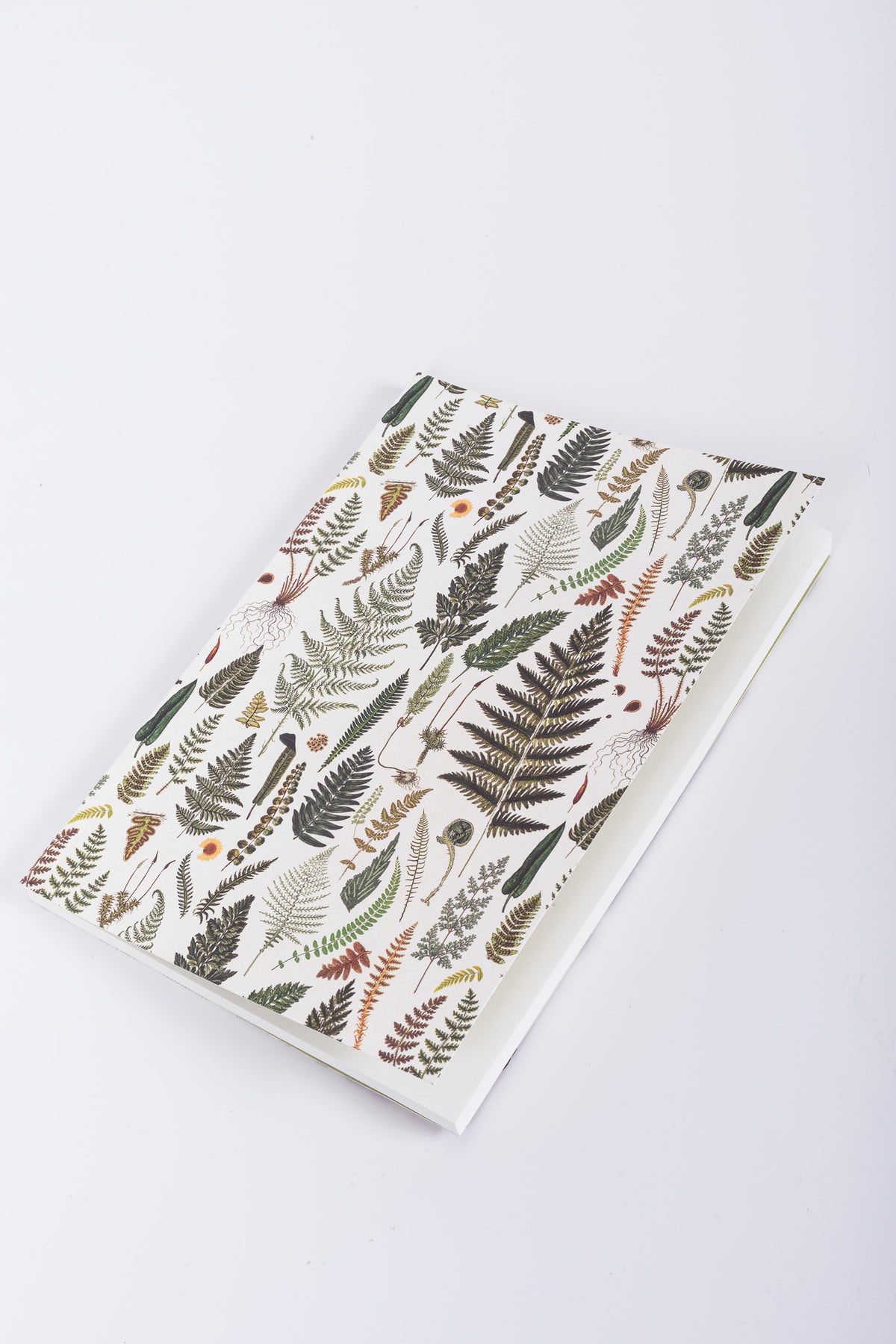 Sköna Fern Notebook