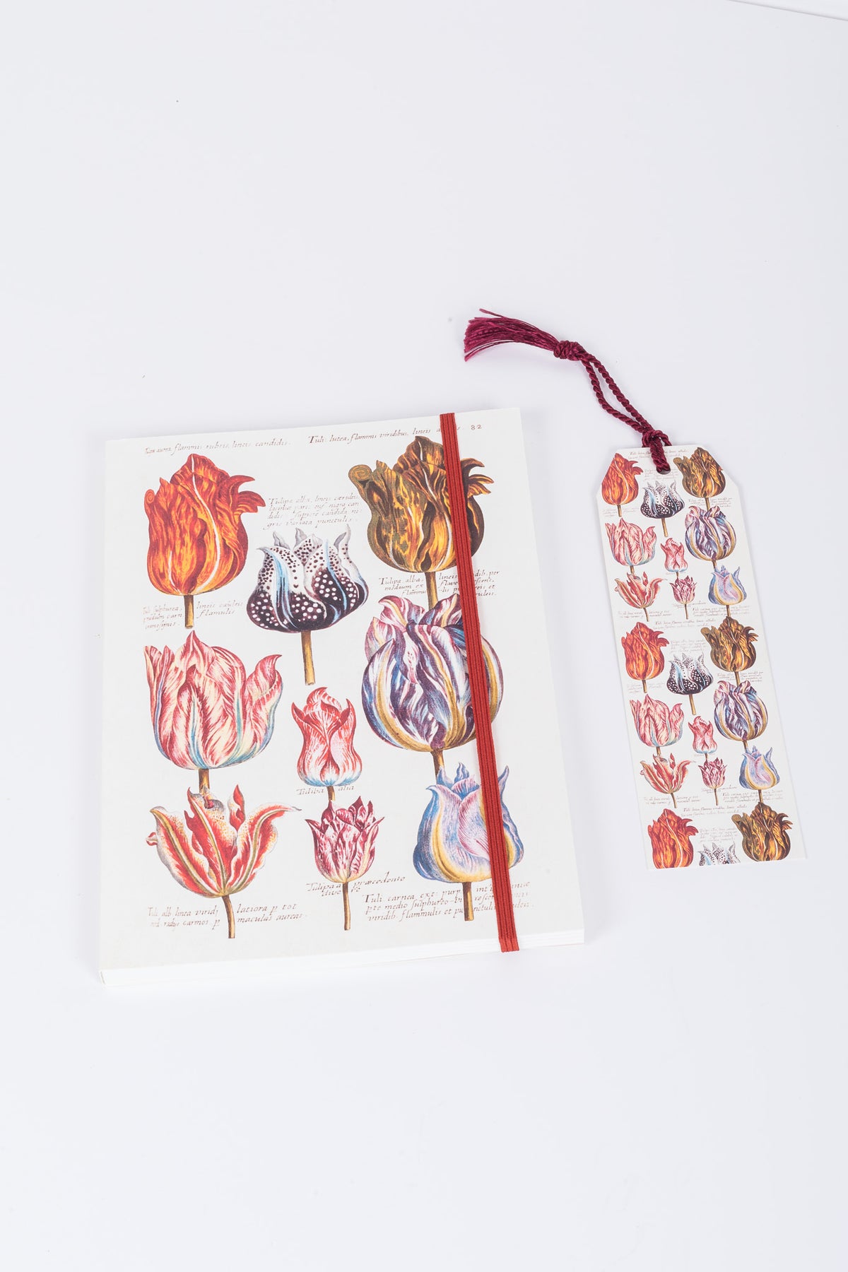 Sköna Tulip Notebook