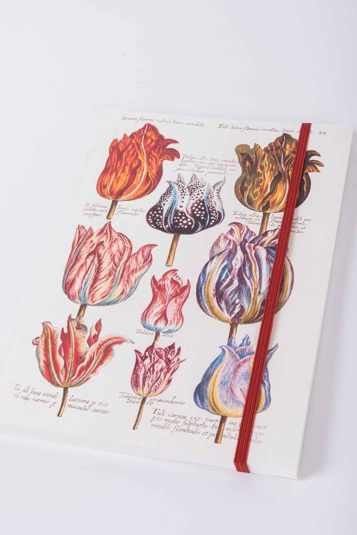 Sköna Tulip Notebook