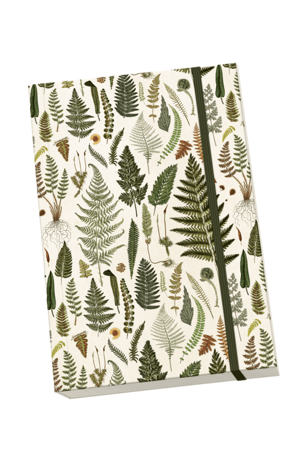 Sköna Fern Notebook